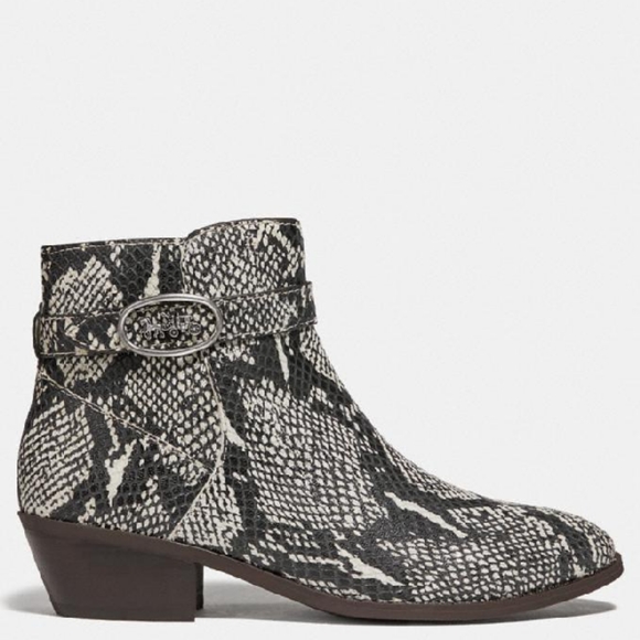 Coach Shoes - Coach Dylan Snakeskin Bootie Boots